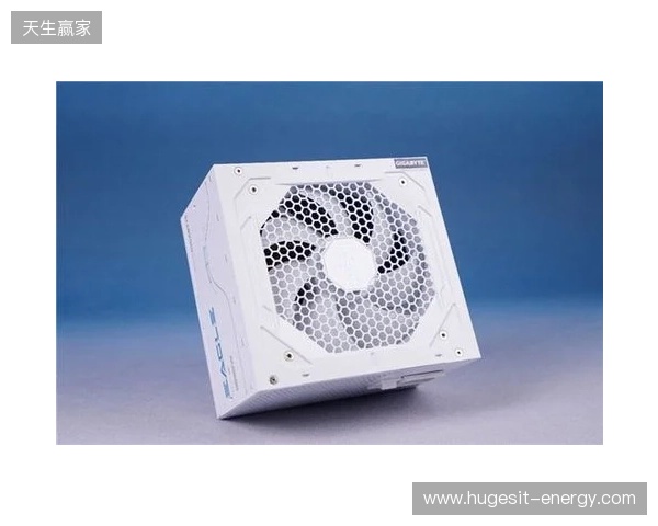 黑白双鹰，白金降临：技嘉猎鹰 冰猎鹰白金电源4月27日开售